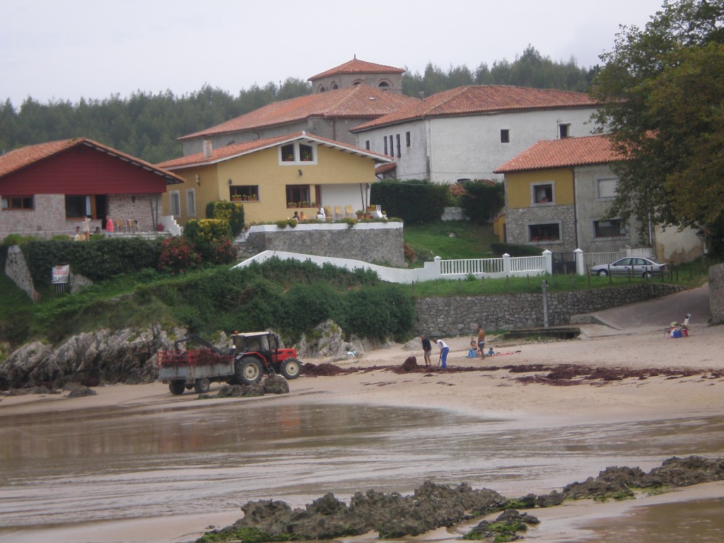 Un par de personas recogen ocle en la playa de las Cámaras de Celorio, días atrás - Celoriu.com