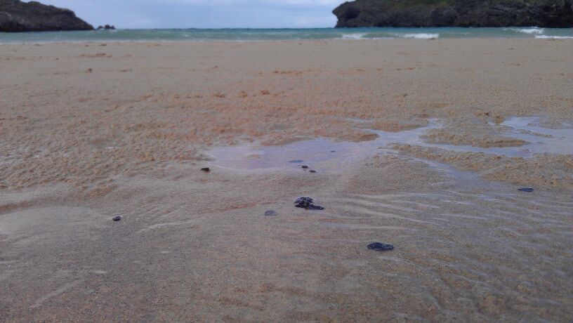 Primeros restos de fuel de la fuga de Carreño en la costa de Llanes - Celoriu.com