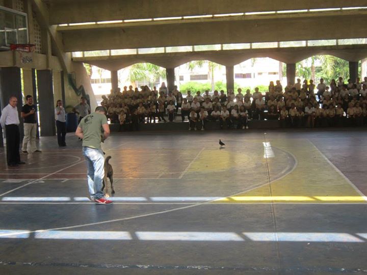 Pachu, durante una de las instrucciones llevadas a cabo en Santo Domingo - Celoriu.com